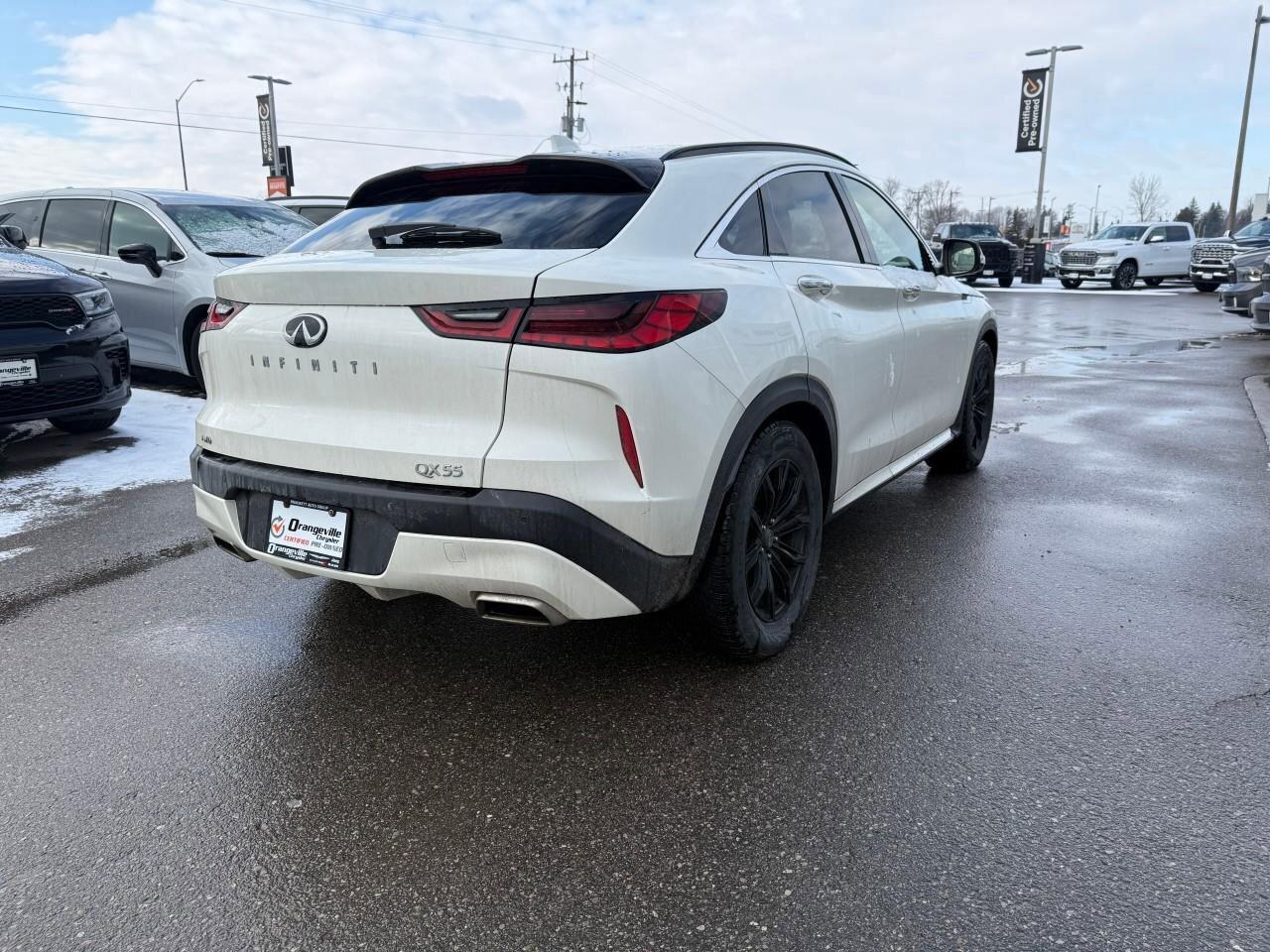 2022 Infiniti QX55  Photo