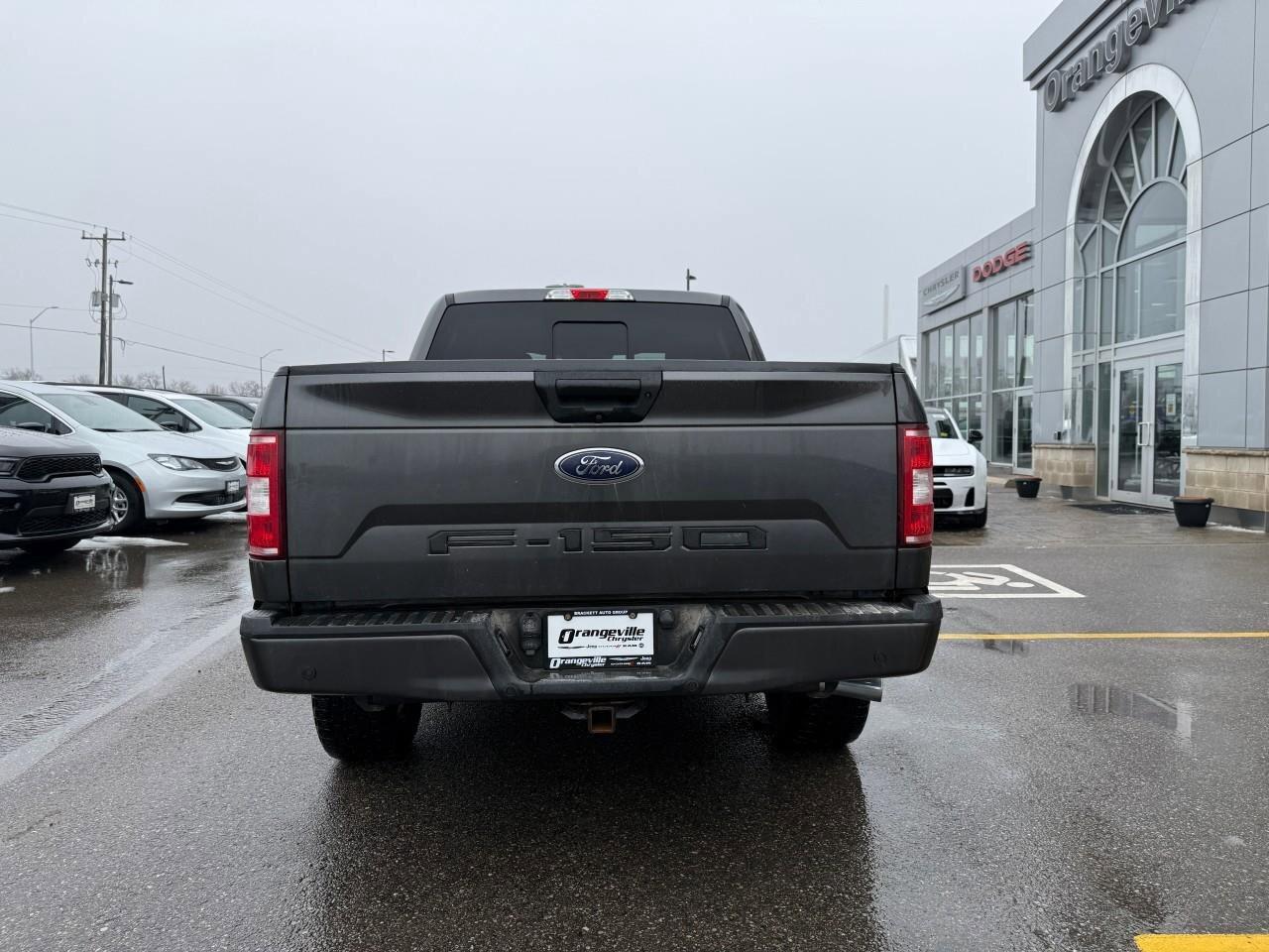 2020 Ford F-150  Photo