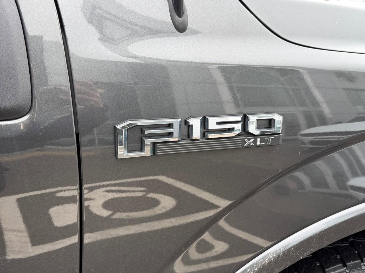 2020 Ford F-150  Photo