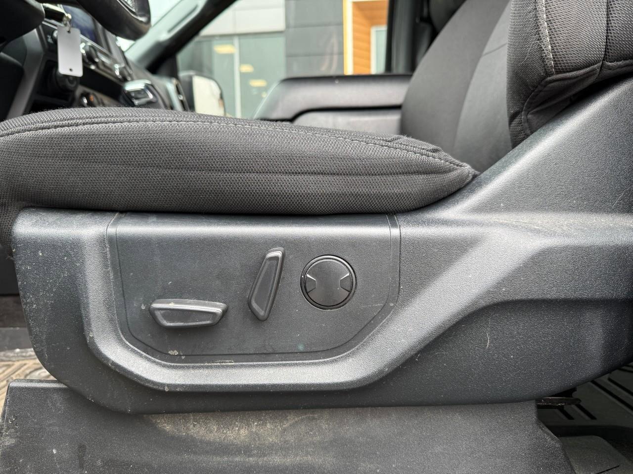 2020 Ford F-150  Photo