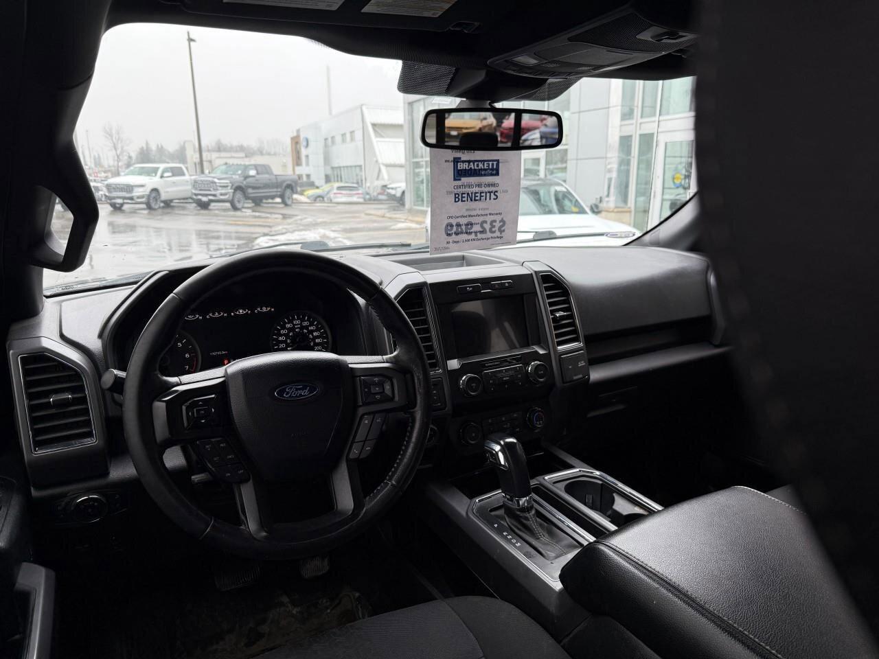 2020 Ford F-150  Photo