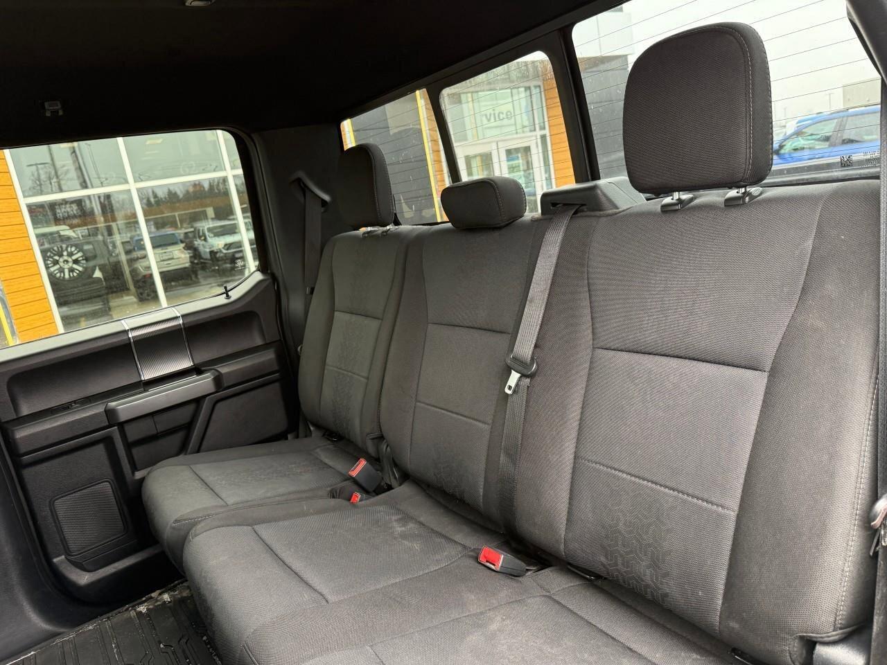 2020 Ford F-150  Photo