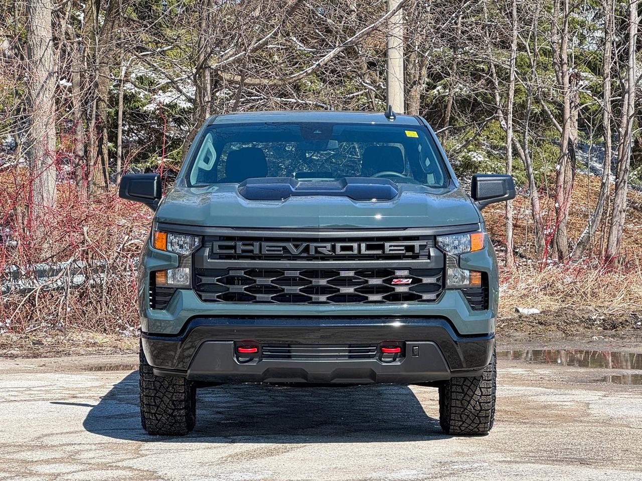 2026 Chevrolet Silverado 1500 Custom Trail Boss Photo