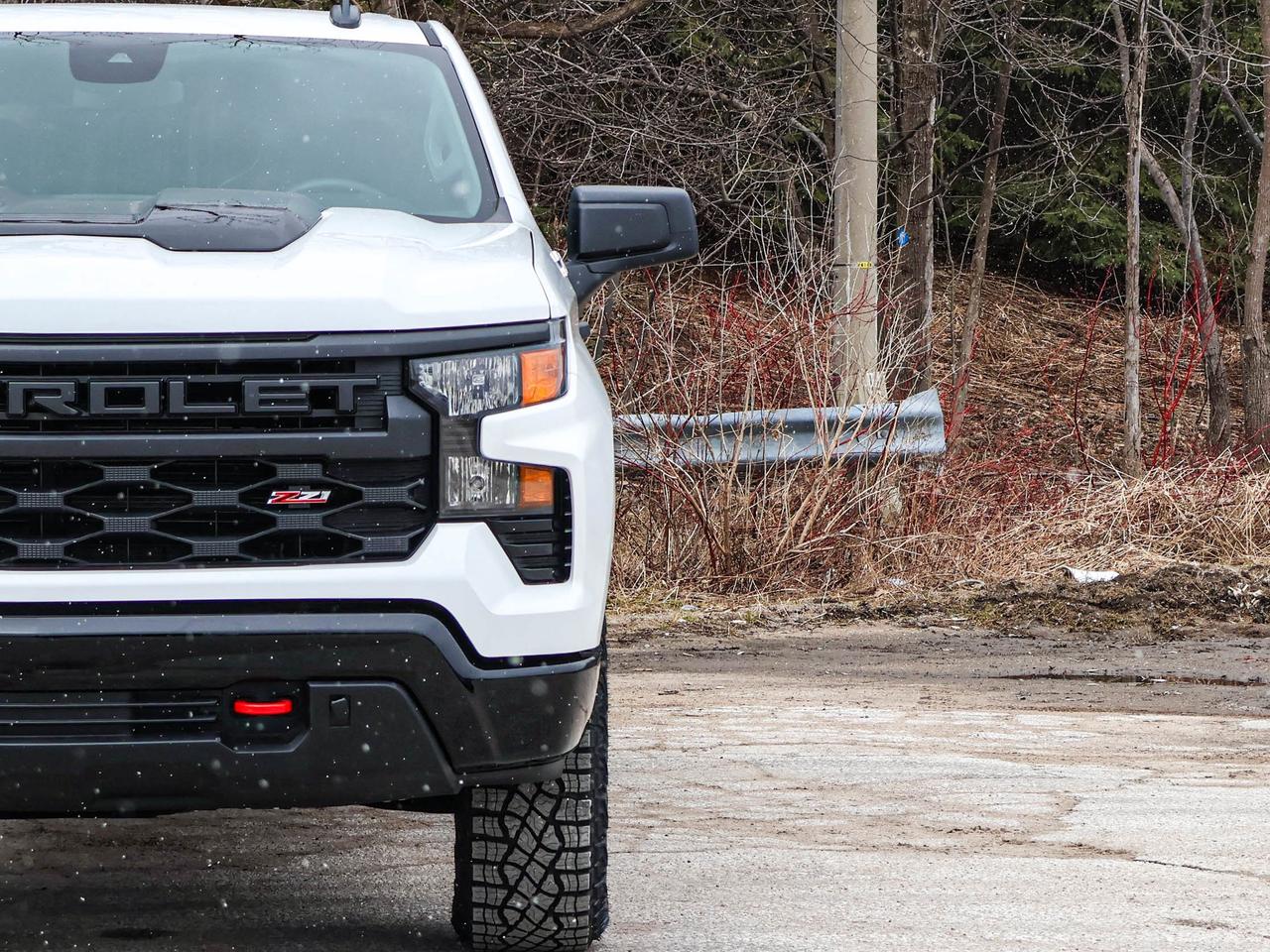 2026 Chevrolet Silverado 1500 Custom Trail Boss Photo