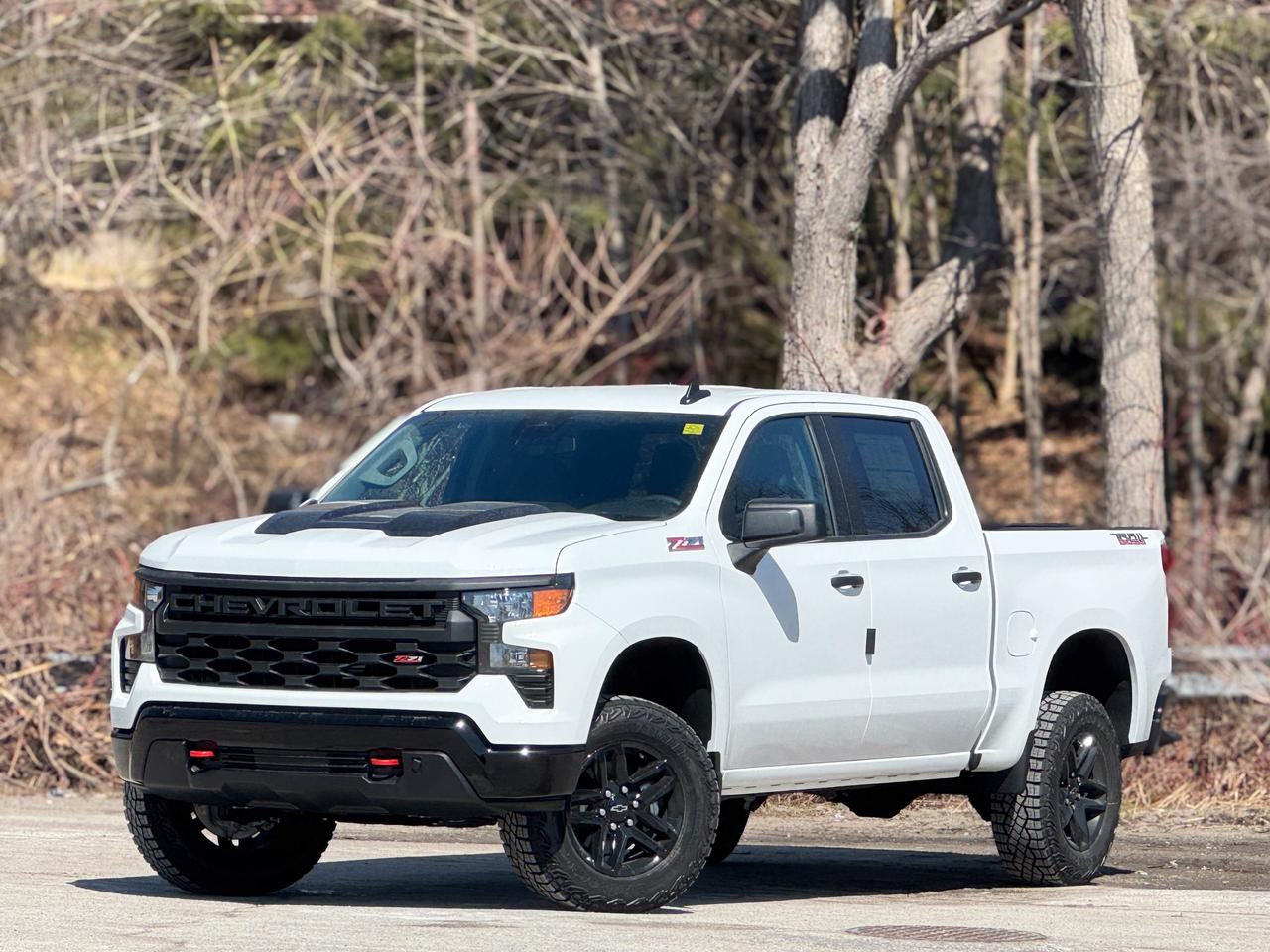 2026 Chevrolet Silverado 1500 Custom Trail Boss Photo