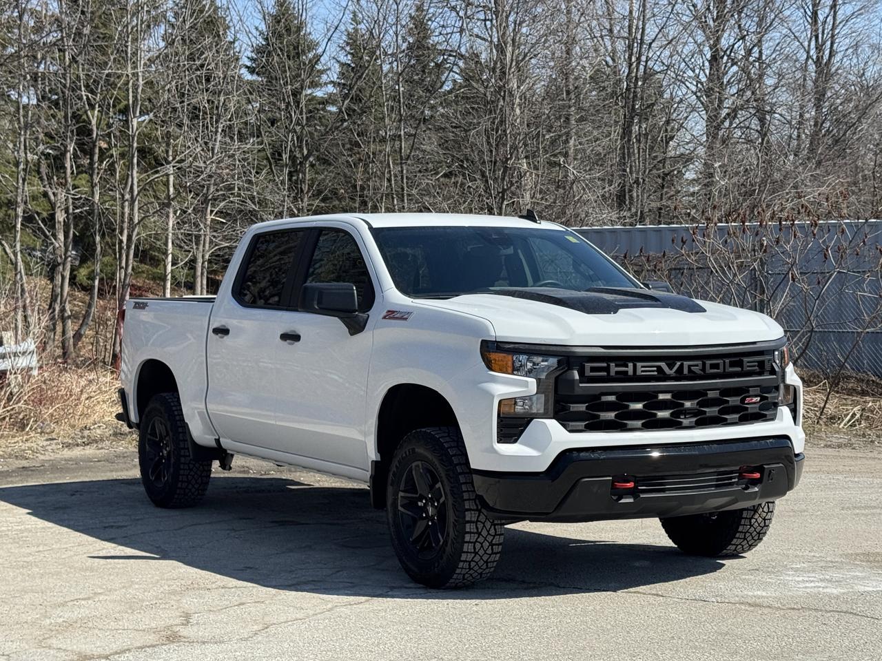 2026 Chevrolet Silverado 1500 Custom Trail Boss Photo3