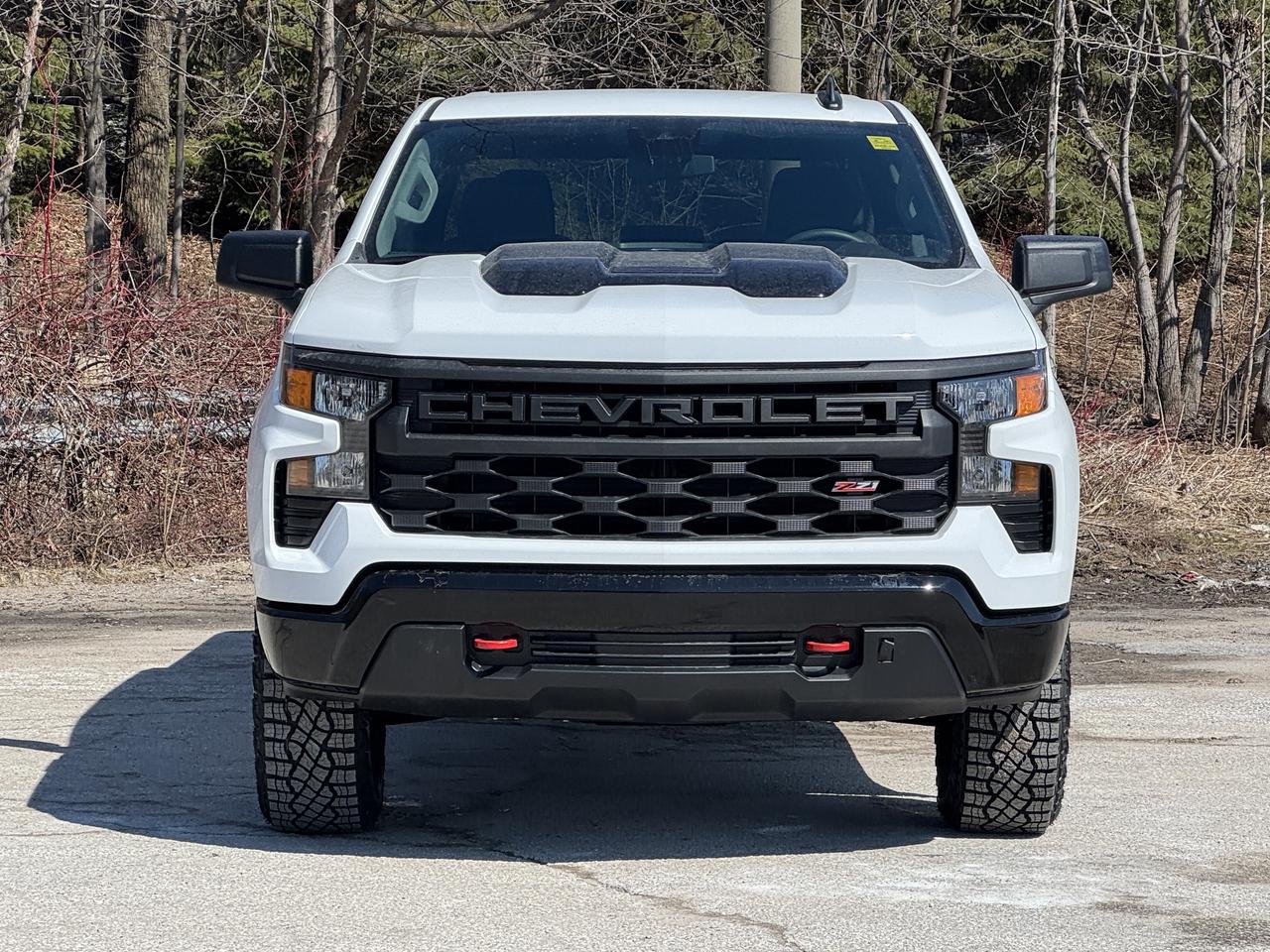 2026 Chevrolet Silverado 1500 Custom Trail Boss Photo
