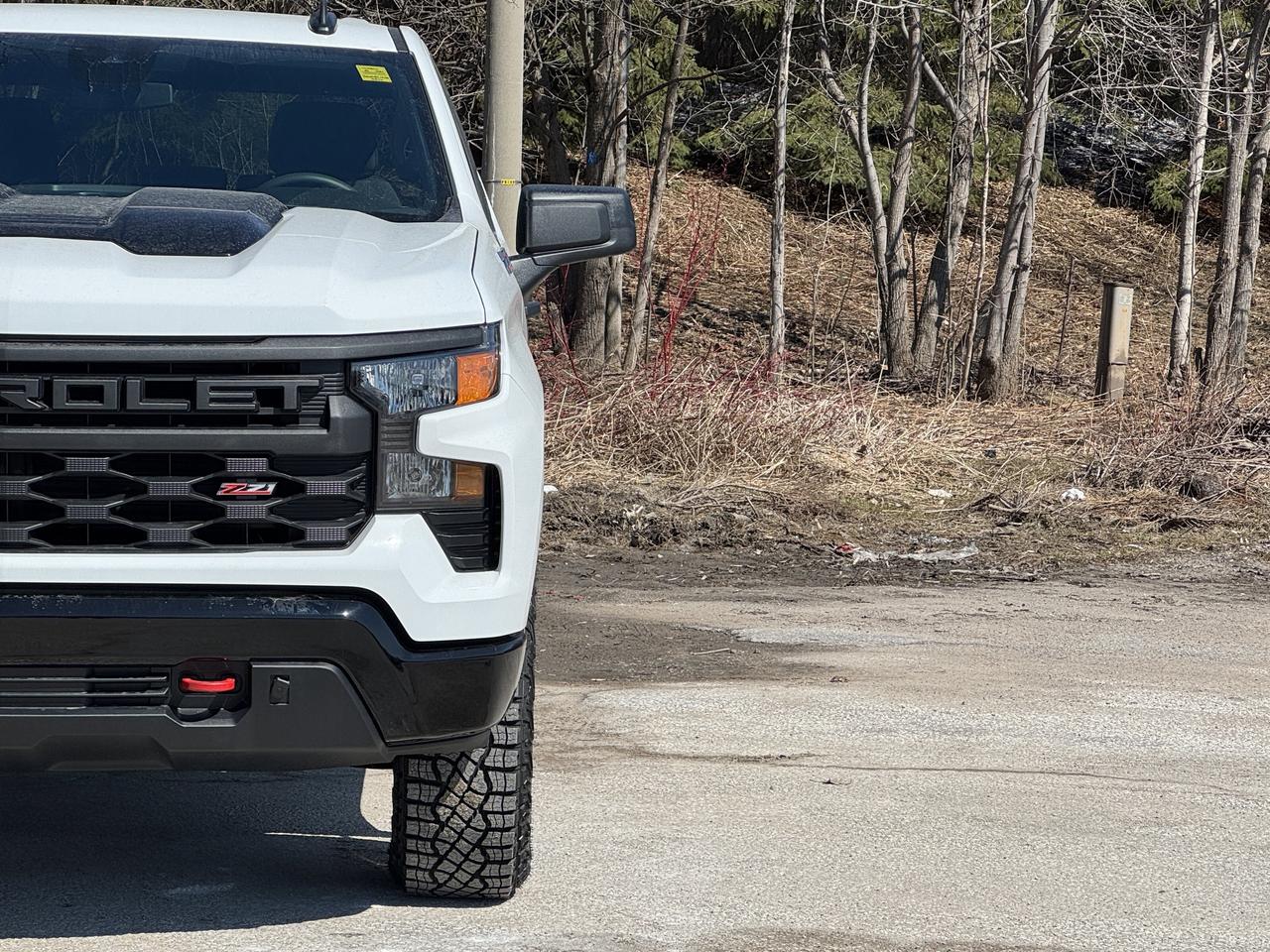 2026 Chevrolet Silverado 1500 Custom Trail Boss Photo