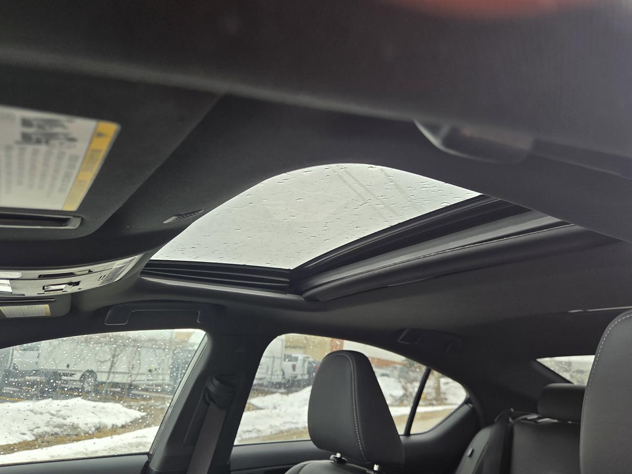 2023 Lexus IS 300 Photo