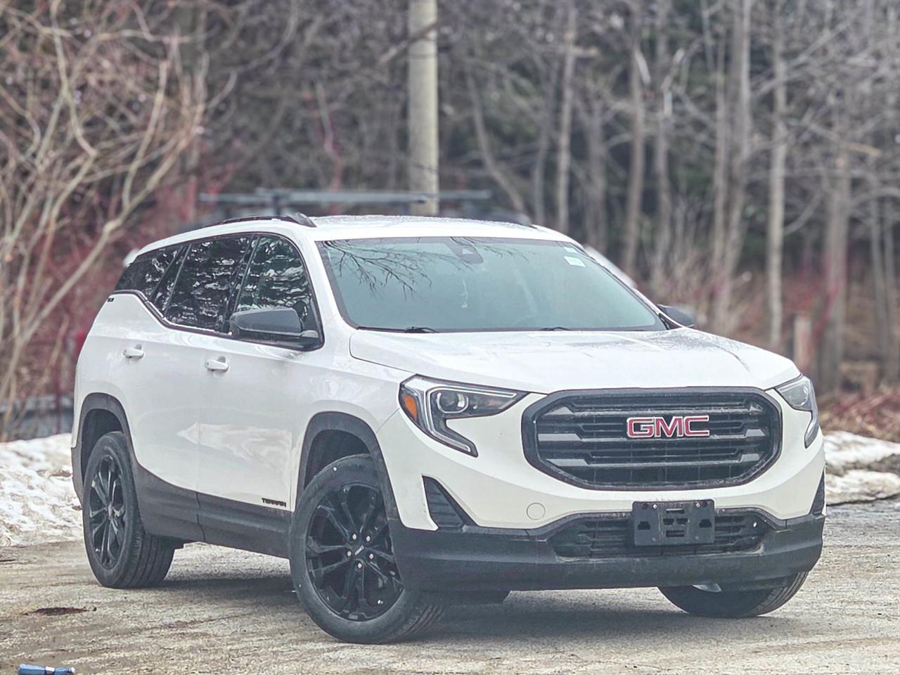 2020 GMC Terrain SLE Photo