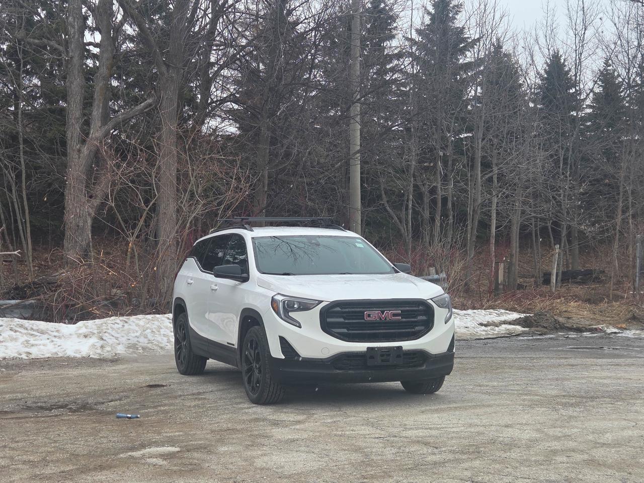 2020 GMC Terrain SLE Photo