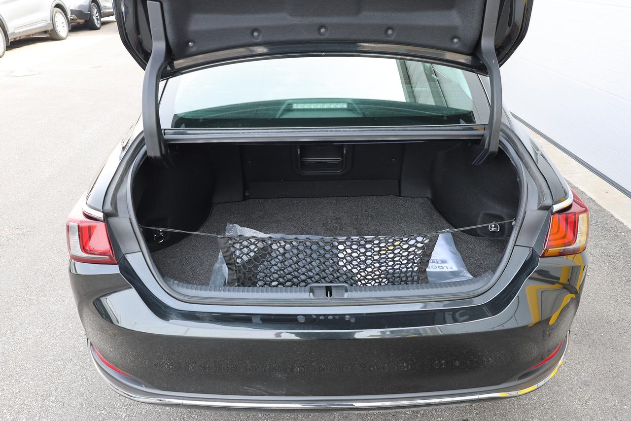 2021 Lexus ES ES250 AWD - LEATHER|SUNROOF|CAMERA|LANE ASSIST Photo