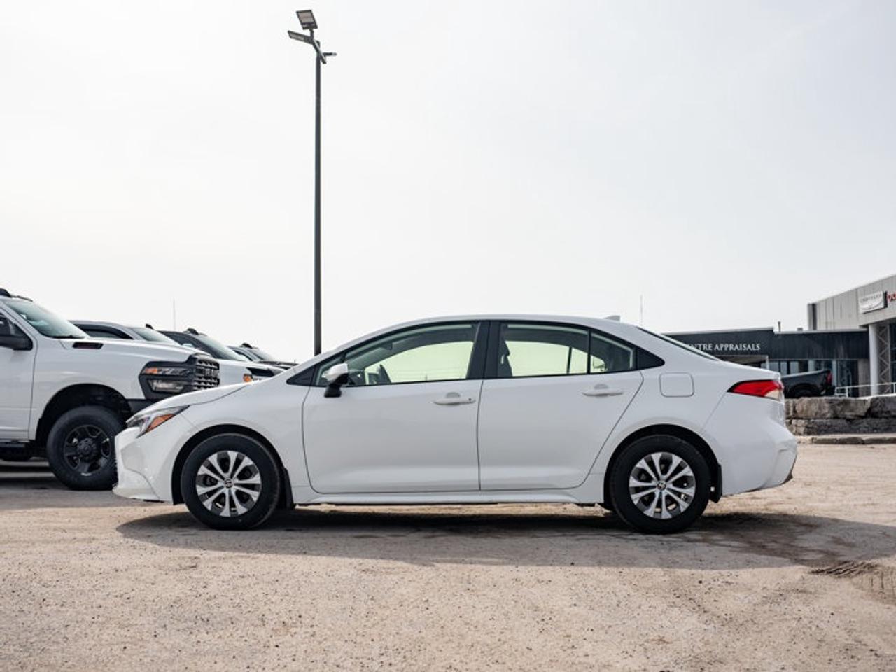 2023 Toyota Corolla Hybrid LE Photo