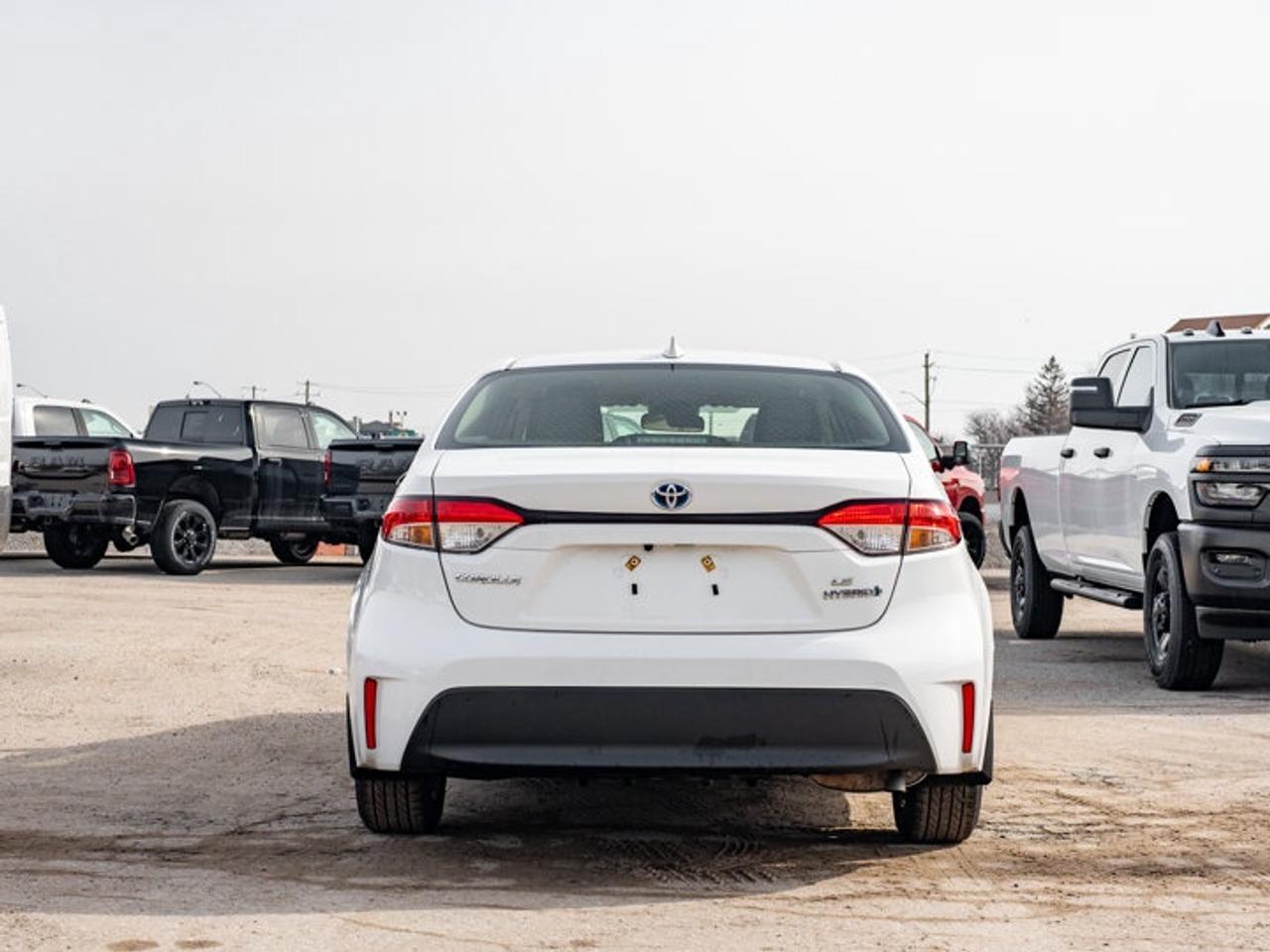 2023 Toyota Corolla Hybrid LE Photo