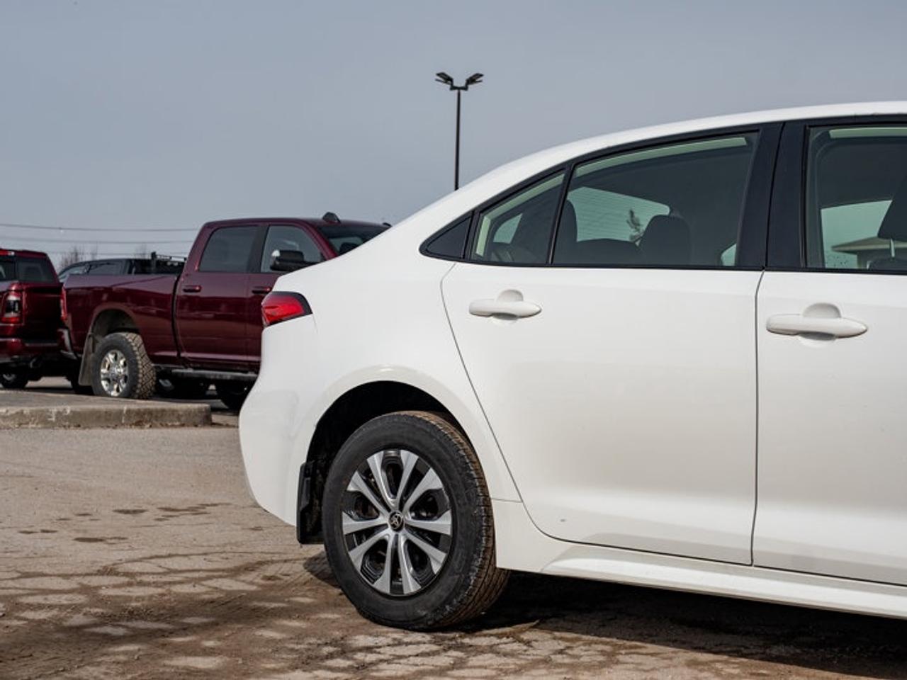 2023 Toyota Corolla Hybrid LE Photo