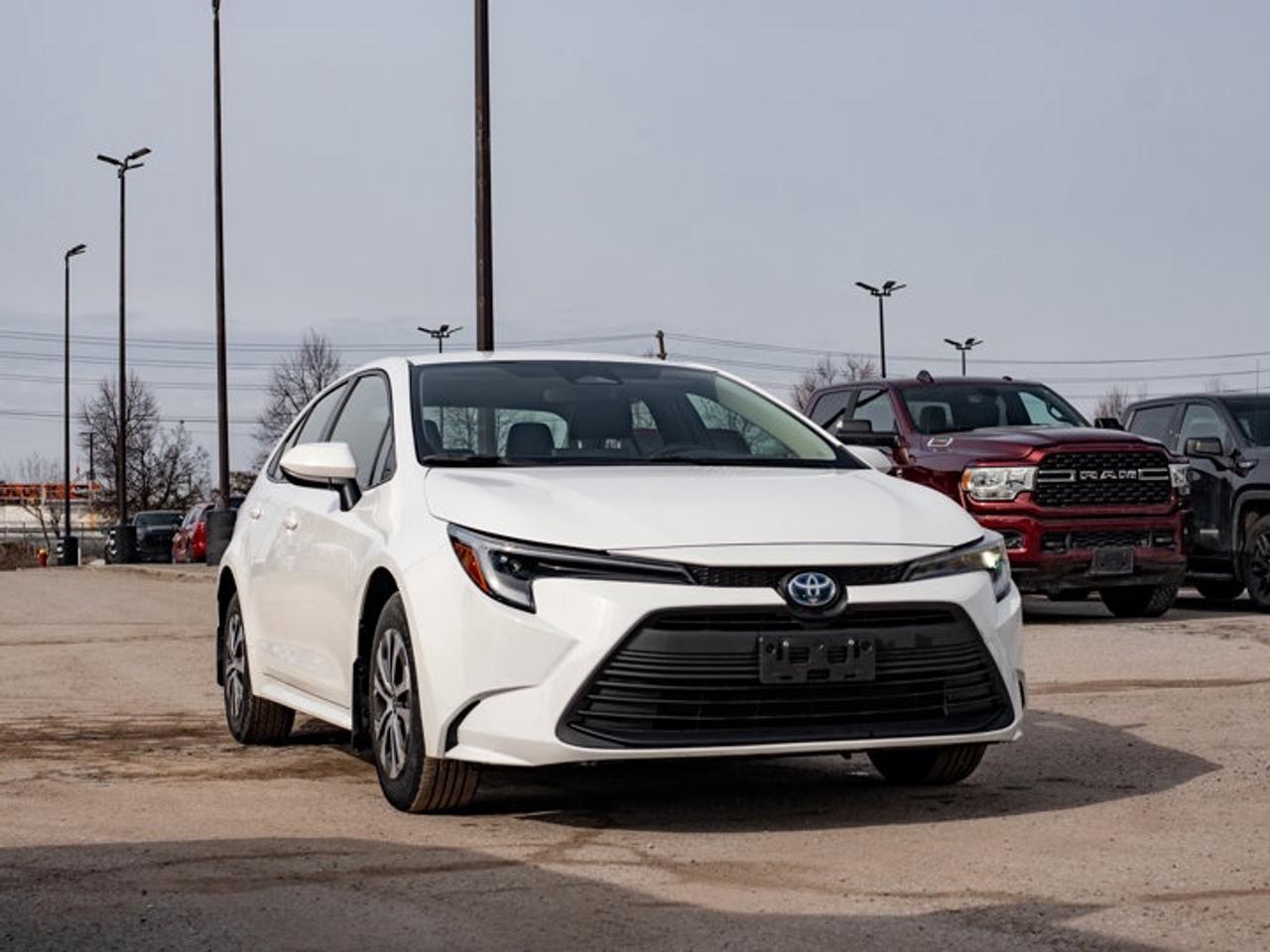 2023 Toyota Corolla Hybrid LE Photo