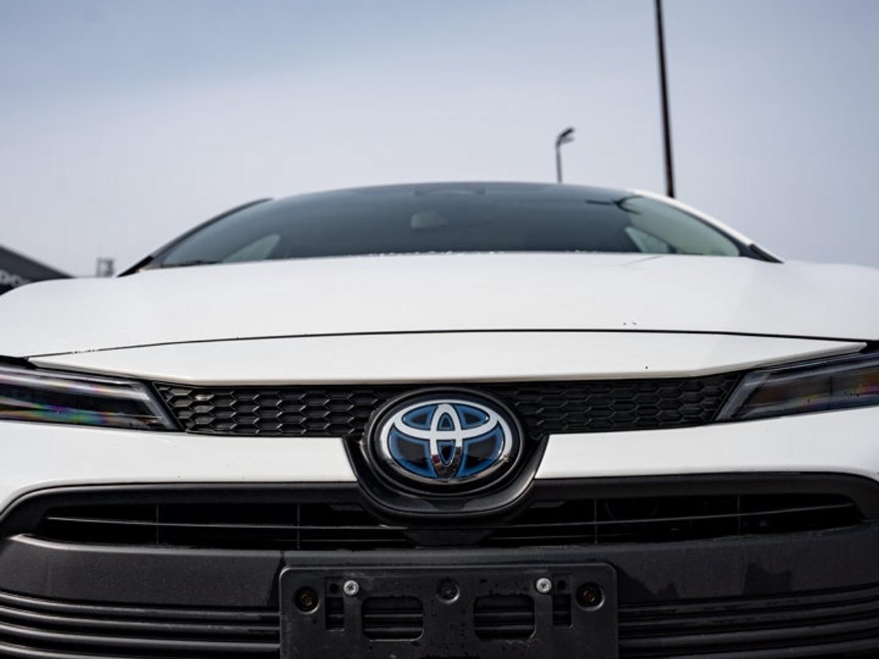 2023 Toyota Corolla Hybrid LE Photo