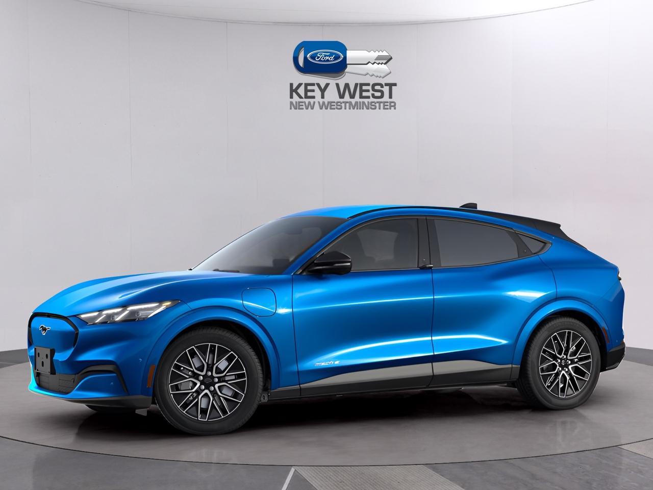 2025 Ford Mustang Mach-E PREMIUM RWD Standard Range Battery Photo0