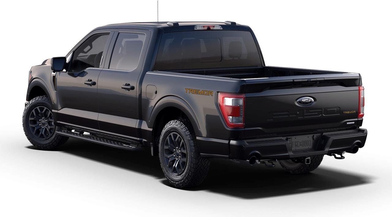 2023 Ford F-150 SUPERCREW Photo1