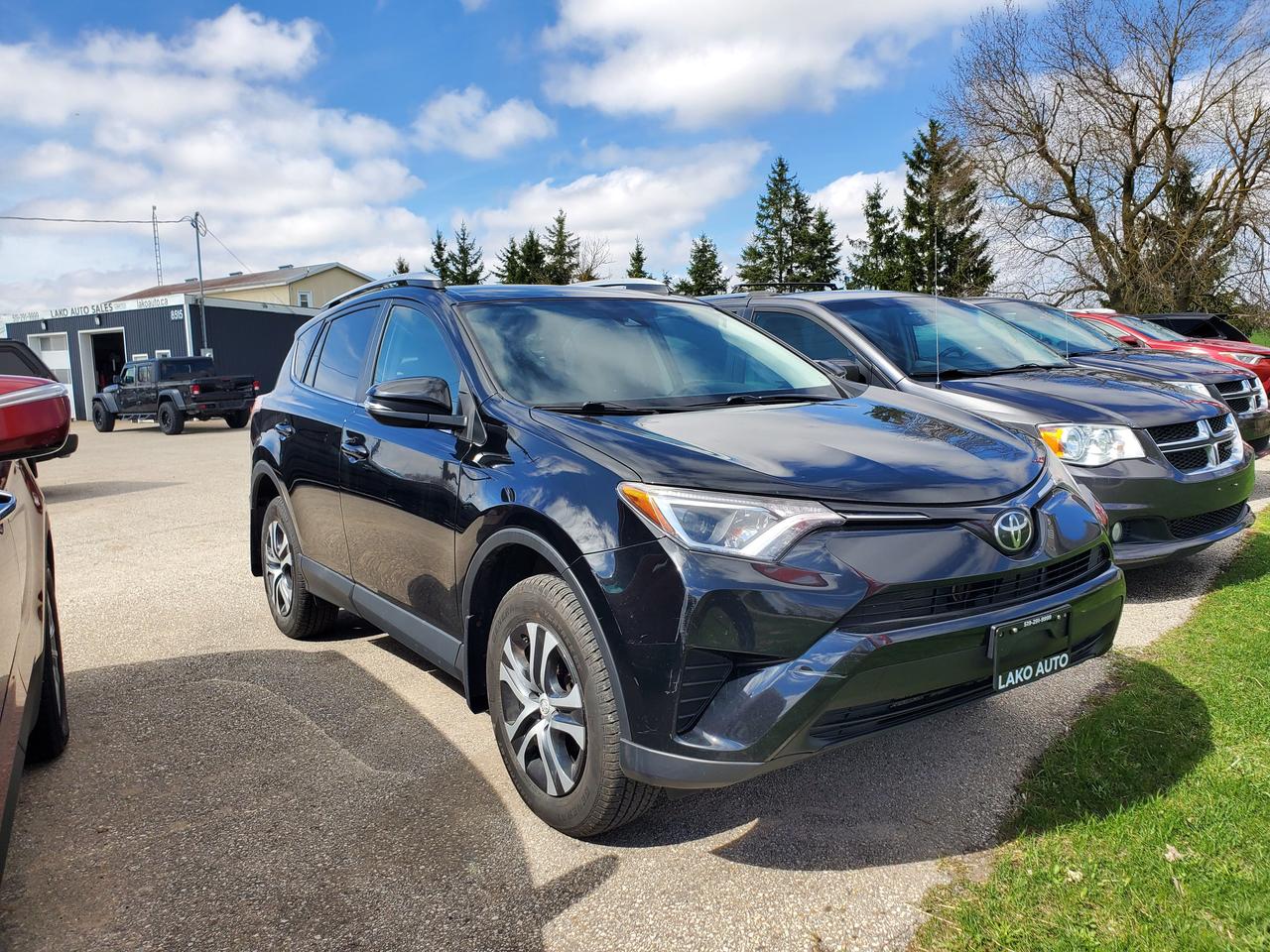 2017 Toyota RAV4 AWD 4dr LE Photo