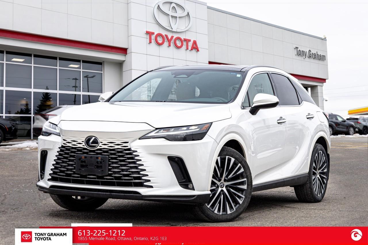 2025 Lexus RX 350H Luxury Package Photo