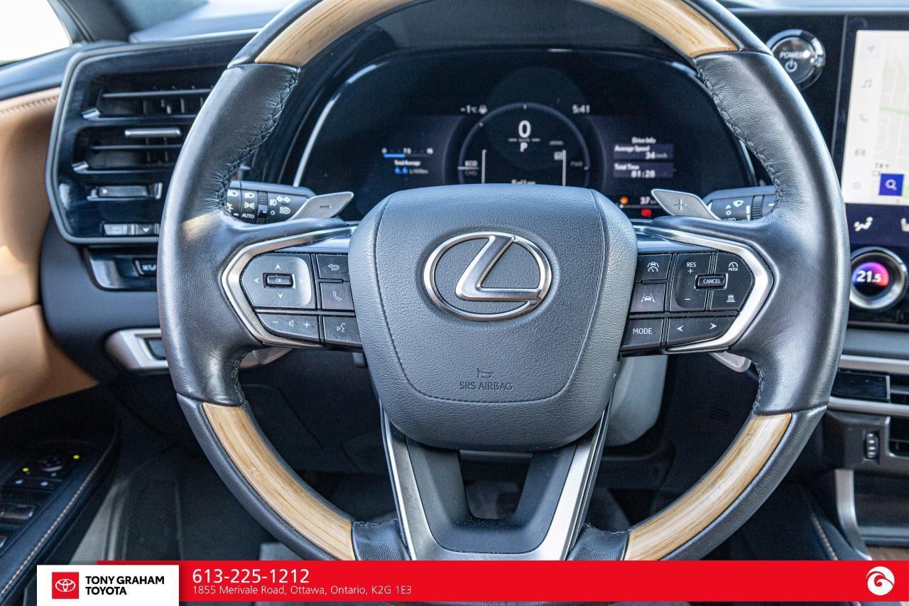 2025 Lexus RX 350H Luxury Package Photo