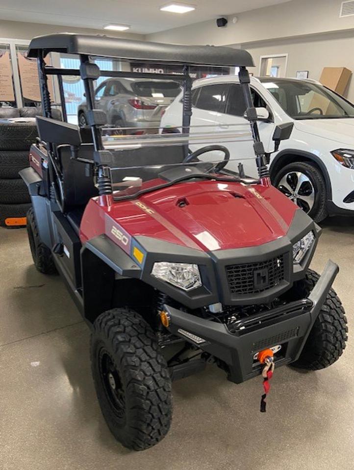 2025 Hisun SECTOR 250 Photo