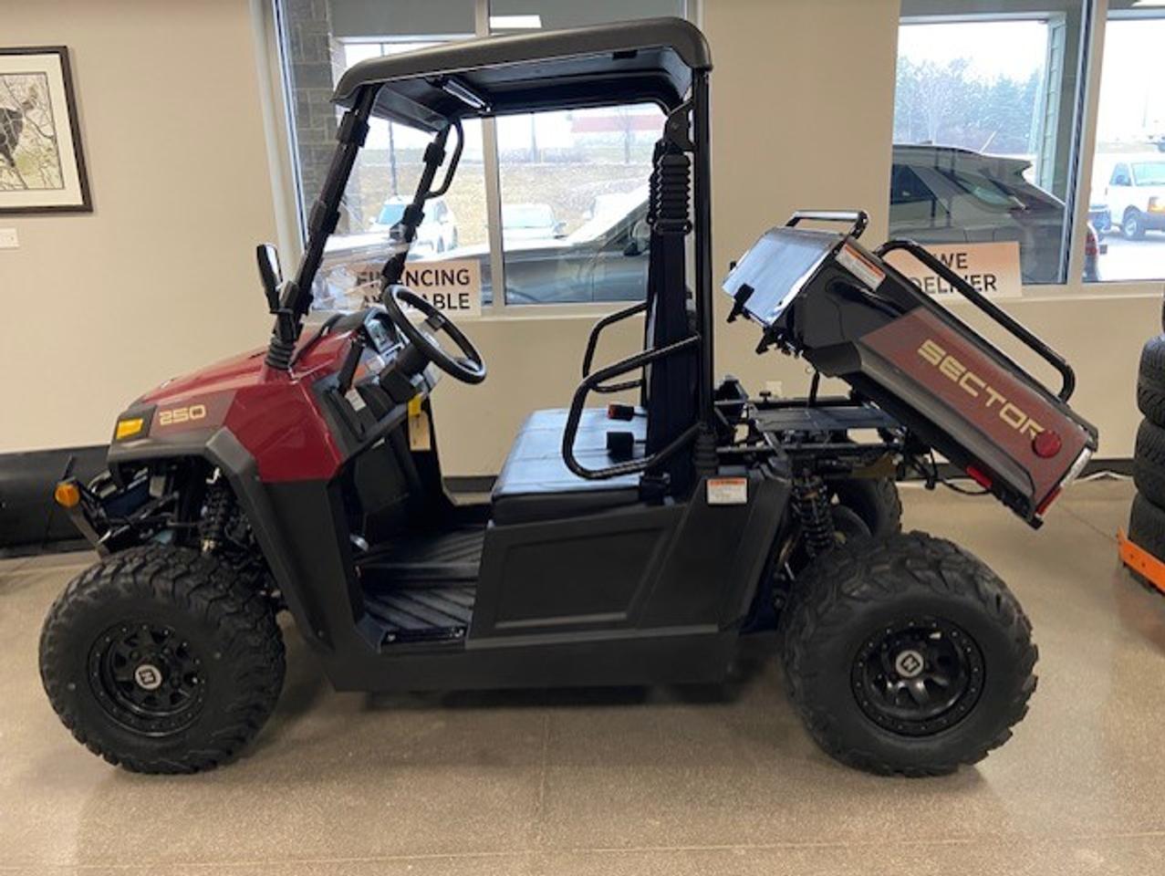2025 Hisun SECTOR 250 Photo1