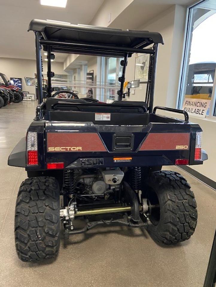 2025 Hisun SECTOR 250 Photo