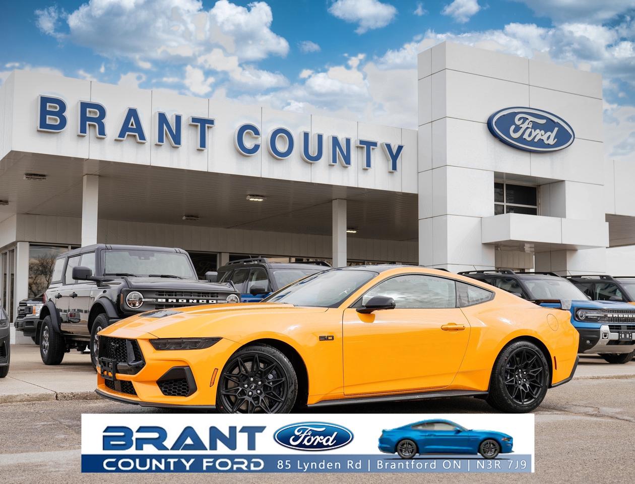 2026 Ford Mustang GT Premium | RED & BLACK LEATHER | STANDARD Photo0