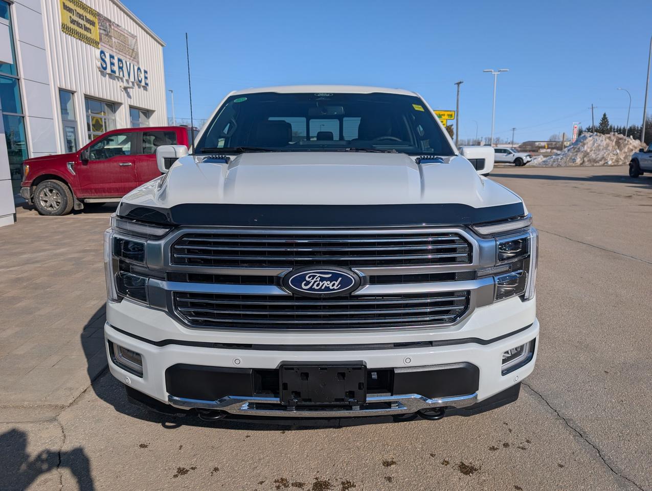 2026 Ford F-150 Platinum Photo2