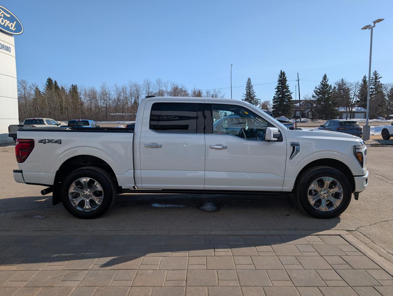 2026 Ford F-150 Platinum Photo4