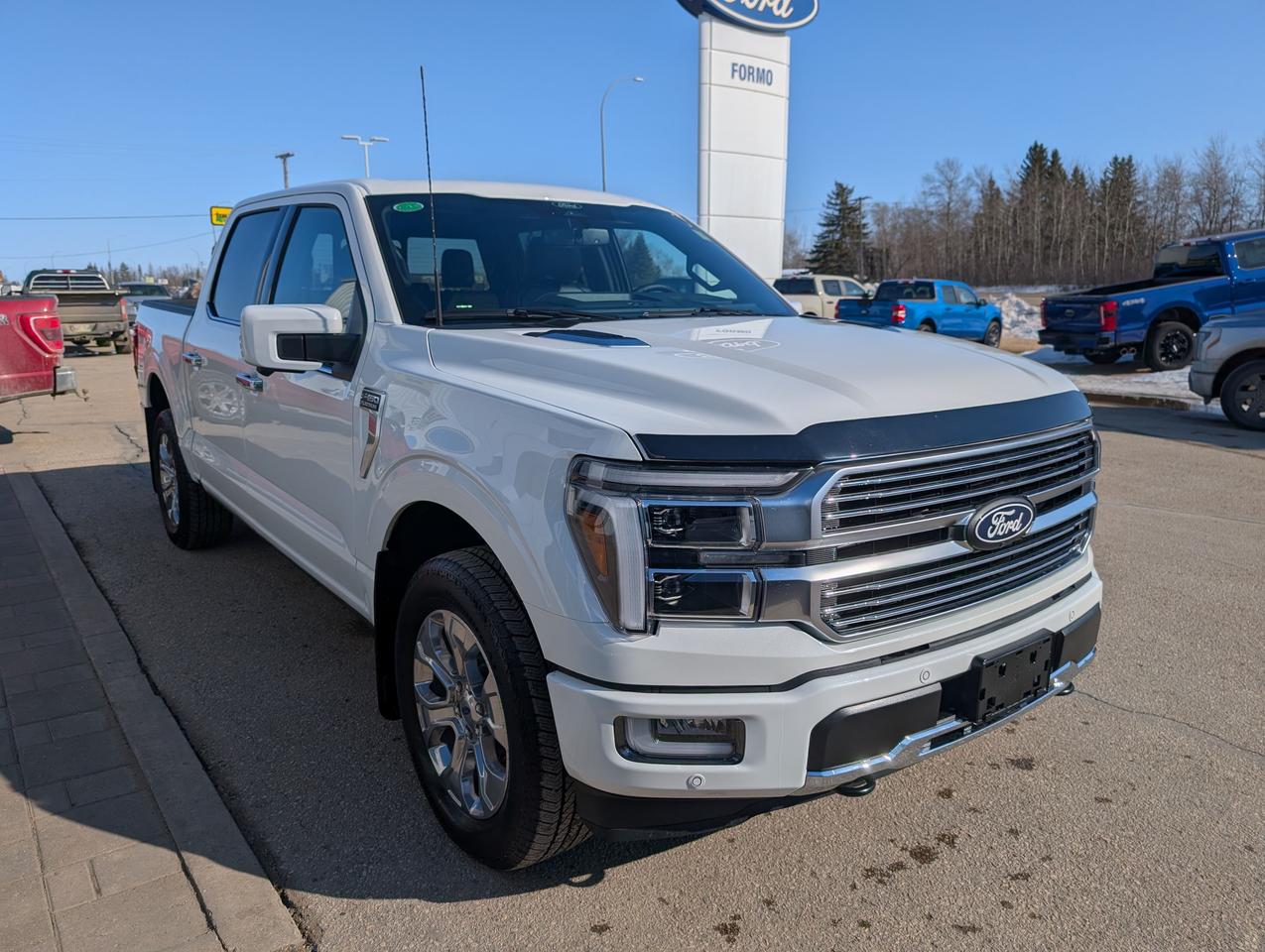 2026 Ford F-150 Platinum Photo3