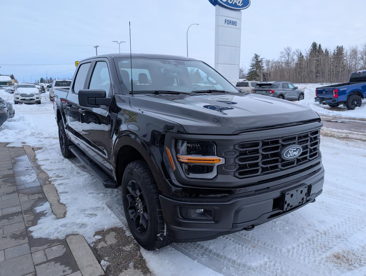 2026 Ford F-150 STX Photo3