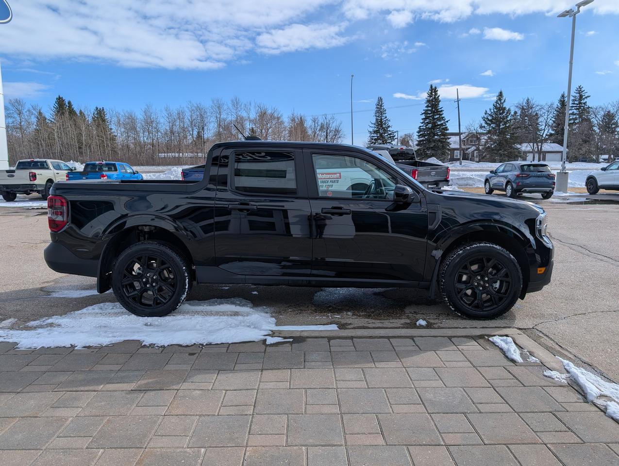 2026 Ford Maverick XLT Photo3