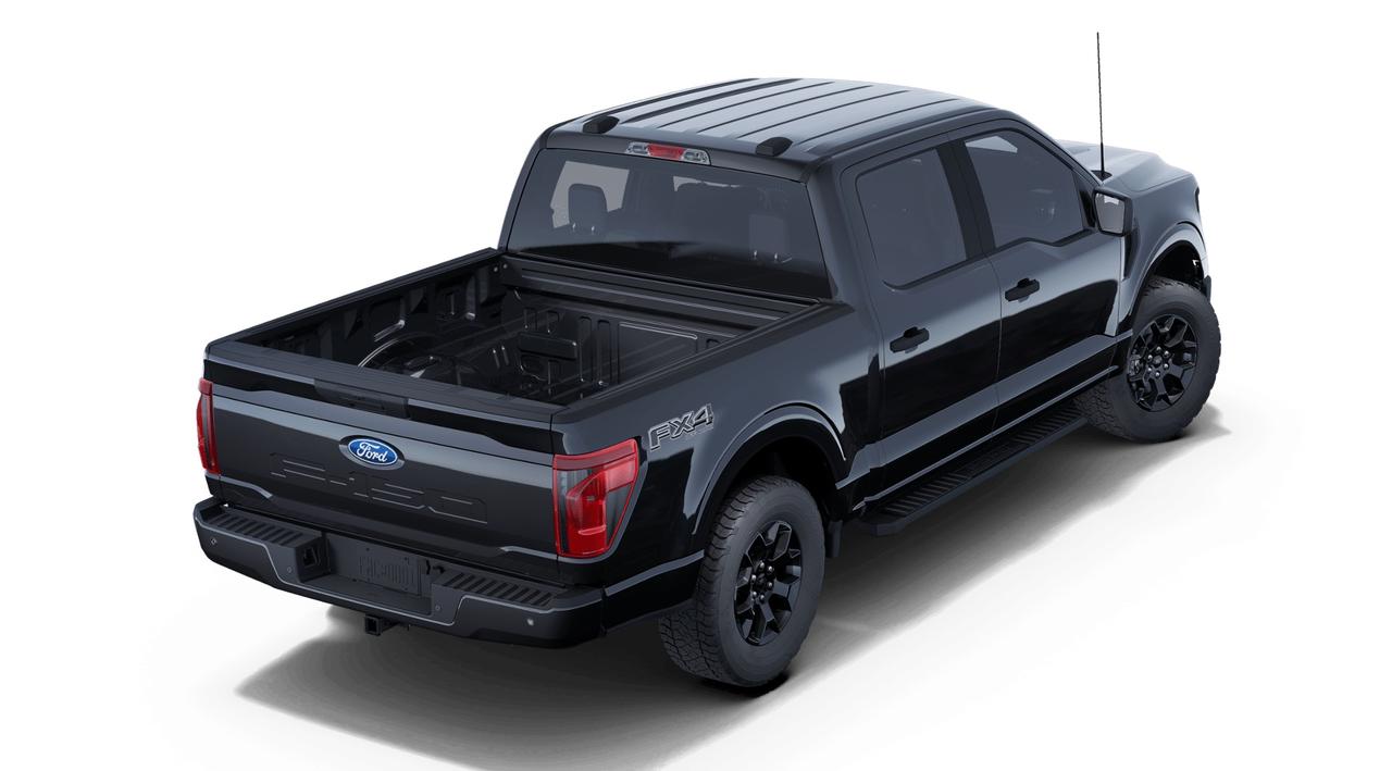 2025 Ford F-150 STX Photo2