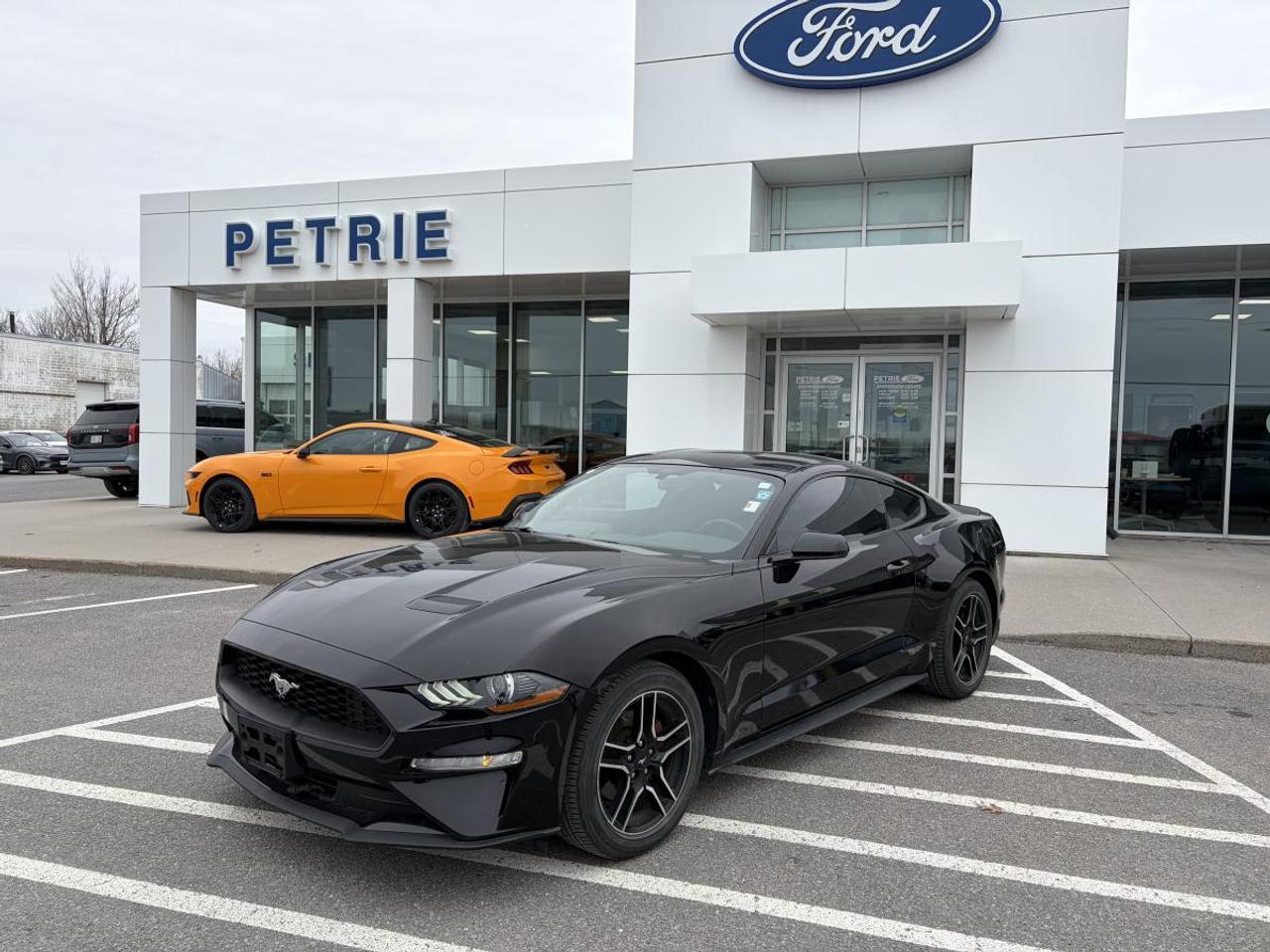 2018 Ford Mustang EcoBoost Photo0