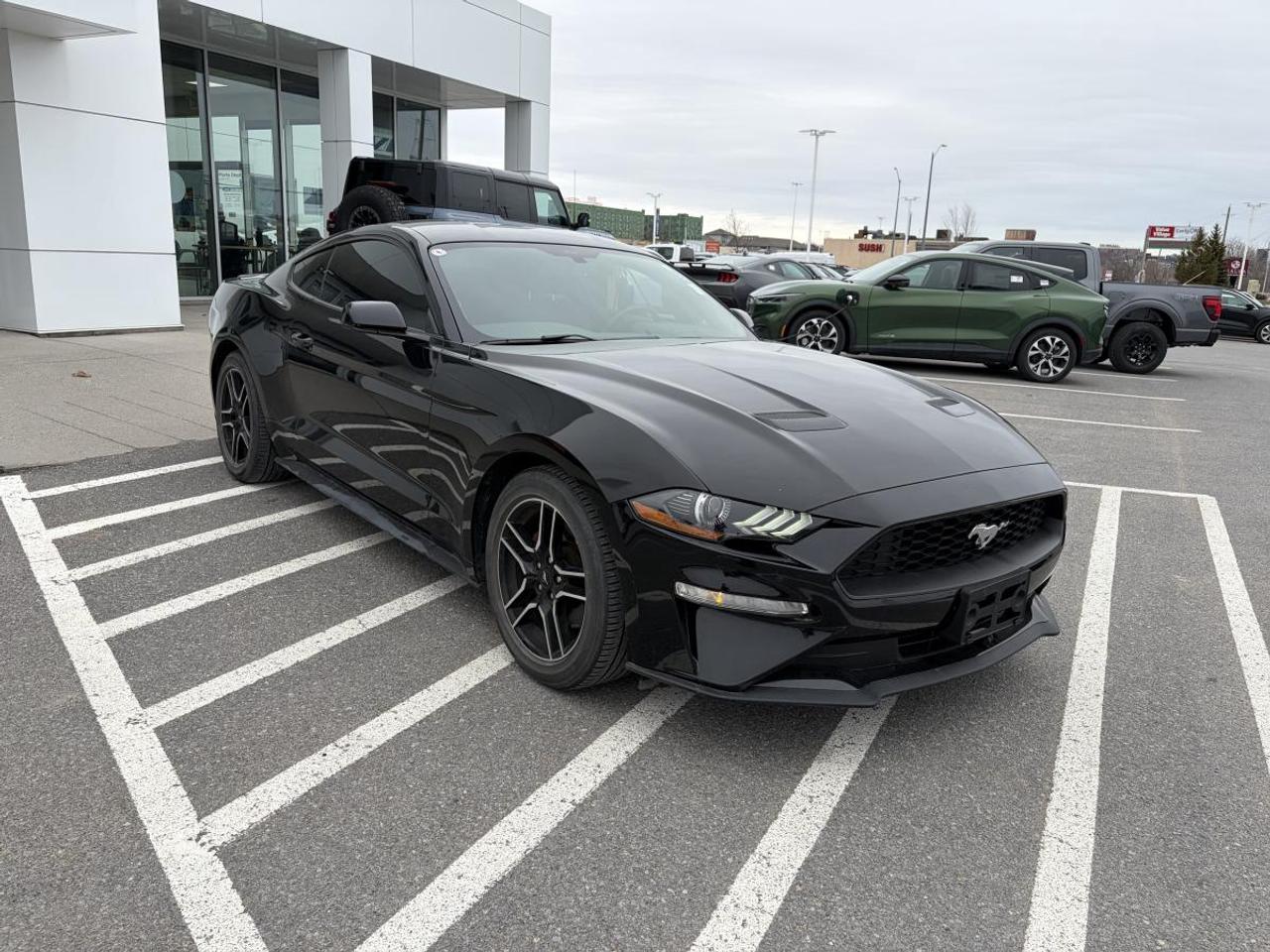 2018 Ford Mustang EcoBoost Photo