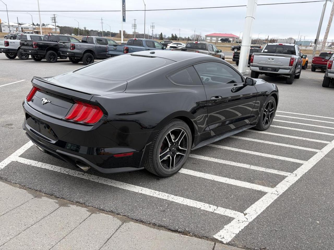 2018 Ford Mustang EcoBoost Photo