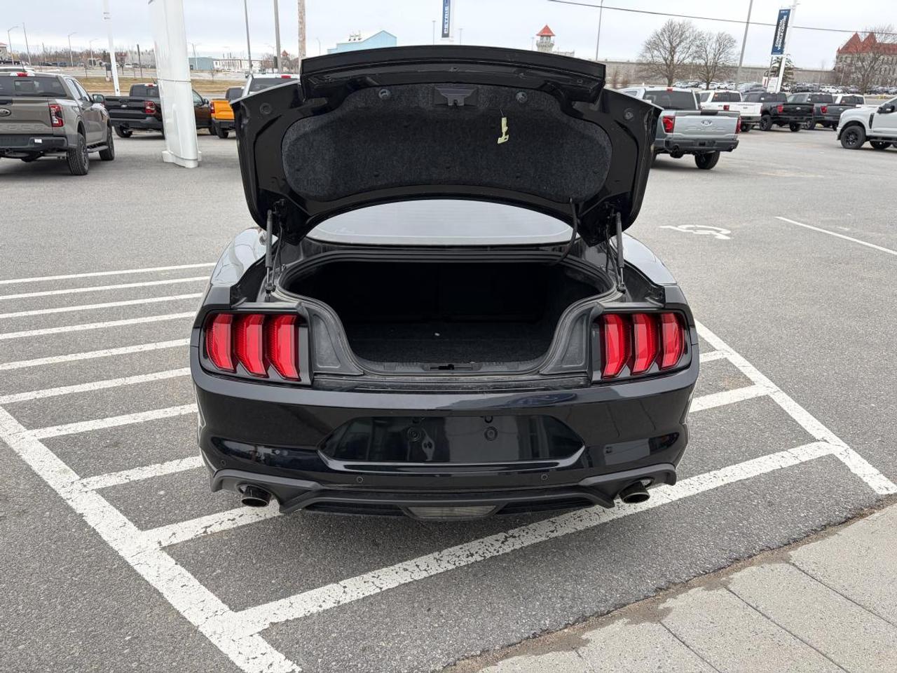 2018 Ford Mustang EcoBoost Photo