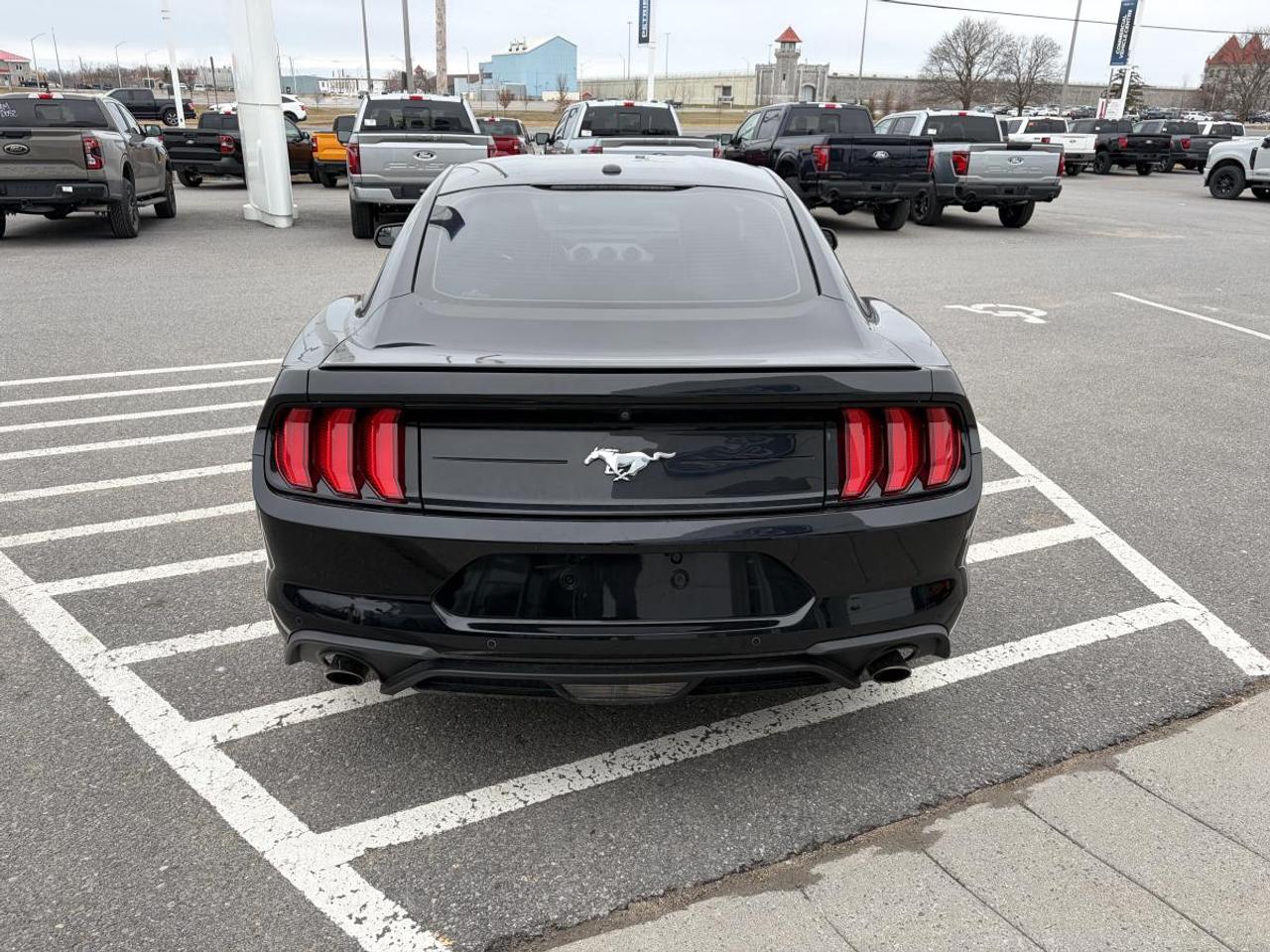 2018 Ford Mustang EcoBoost Photo