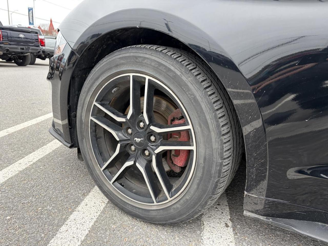 2018 Ford Mustang EcoBoost Photo