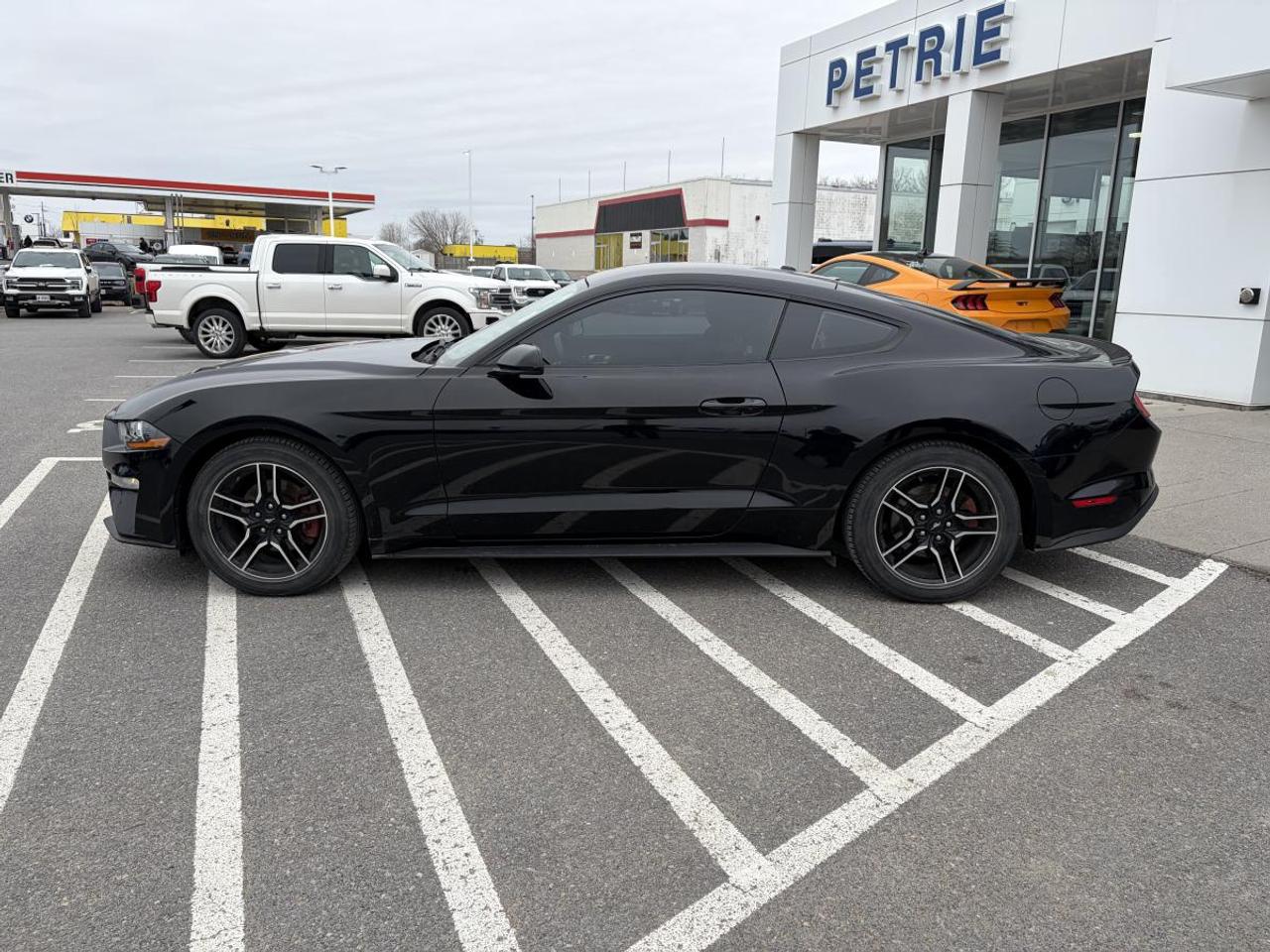 2018 Ford Mustang EcoBoost Photo