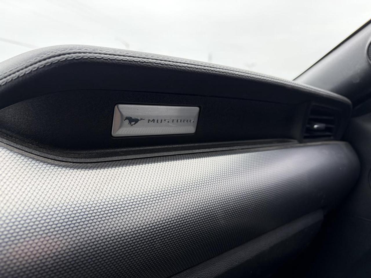 2018 Ford Mustang EcoBoost Photo