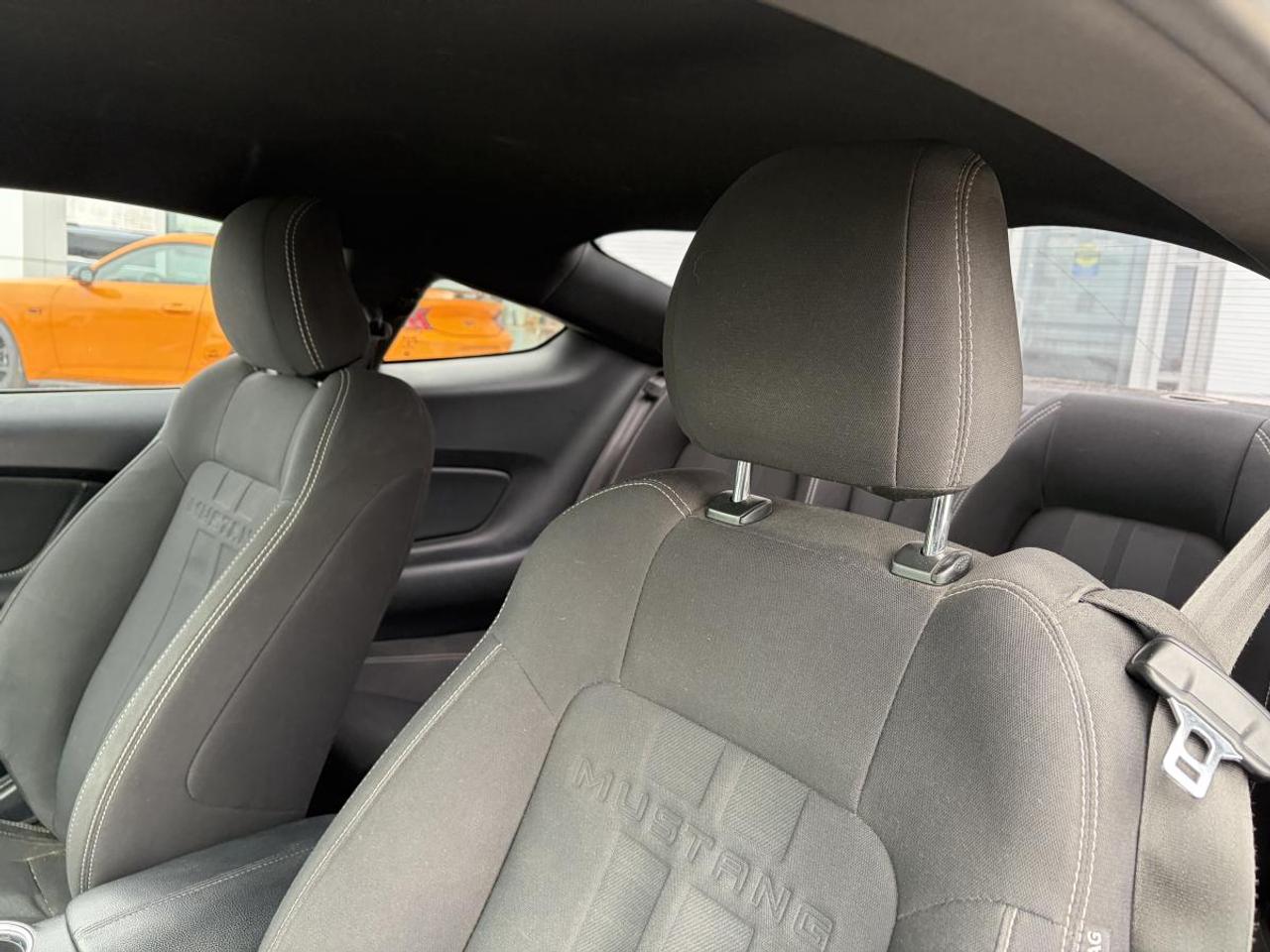 2018 Ford Mustang EcoBoost Photo