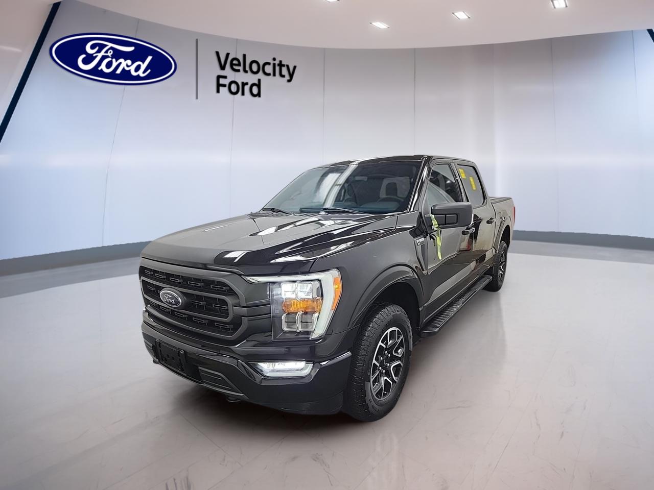 // SINGLE OWNER! //

This 2023 Ford F-150 XLT 4WD SuperCrew 5.5 Box delivers proven truck strength, smart comfort, and everyday ease for work or family use. Sold by Velocity Ford in Moose Jaw, it has had a single owner, as reported by CARFAX Canada, and shows 48,319 km on the odometer.

Finished in Black with a Black interior, this used 2023 Ford F-150 XLT 4WD SuperCrew 5.5 Box pairs a roomy four-door cabin with a 3.5-litre unleaded engine and automatic transmission. It is built to handle changing road conditions with Four-Wheel Drive and practical features that support daily driving and weekend towing.

FEATURES OF THE F-150 XLT 4WD SuperCrew 5.5 Box
»» Spacious four-door SuperCrew cabin layout
»» Short 5.5-foot box adds versatility
»» Four-Wheel Drive for added traction
»» Automatic transmission with dual shift mode

TRUCK FEATURES
»» Towing capacity rated at 4,580 kg
»» Rear tow hook supports truck utility
»» Off-road tires aid rougher surfaces
»» Rear trunk access adds cargo ease

ADVANCED SAFETY FEATURES
»» Backup camera helps with reversing
»» Blind spot monitor adds awareness
»» Lane departure warning supports highway driving
»» Side and head airbags included

PERFORMANCE AND EFFICIENCY
»» 3.5-litre unleaded engine delivers strong output
»» Automatic transmission shifts smoothly every trip
»» Four-Wheel Drive improves all-season control
»» Cruise control supports relaxed highway driving

COMFORT AND CONVENIENCE
»» Front air conditioning keeps cabin comfortable
»» Power windows add daily convenience
»» Heated mirrors help in cold weather
»» Driver and passenger lumbar support

TECHNONOLGY AND CONNECTIVITY
»» Navigation system helps guide each trip
»» Bluetooth integration supports hands-free calling
»» WiFi hotspot keeps devices connected
»» Steering wheel audio controls simplify use

CARGO SPACE
»» 5.5-foot box supports daily hauling
»» SuperCrew cabin offers flexible storage room
»» Rear trunk access improves loading convenience
»» Spare tire adds peace of mind

AWARDS & RECOGNITIONS
»» Best Buy Award, The Car Guide, 2023
»» Best Full-Size Pickup, Auto123.com, 2023

WHAT OTHER OWNERS LIKE
»» Strong towing ability for work needs
»» Spacious cabin for family comfort
»» Confident Four-Wheel Drive in winter
»» User-friendly tech for daily driving

This truck also includes key features drivers want most, such as Anti-Lock Braking System, stability control, child safety locks, automatic headlights, fog lights, tire pressure monitoring, automatic door locks, rear window defroster, power steering, electric mirrors, tinted windows, satellite radio, and passenger airbag sensor.

The cabin is set up for simple use and lasting comfort. You get an adjustable steering wheel, illuminated driver and passenger vanity mirrors, and cloth seating surfaces that are easy to live with. The layout is practical, clear, and ready for commuting, job sites, or road trips around Saskatchewan.

For drivers shopping for a capable full-size pickup, this 2023 Ford F-150 XLT 4WD SuperCrew 5.5 Box offers the right mix of strength, safety, and value. With one-owner history, strong towing capability, and a solid list of useful features, this F-150 is ready to get to work.

This 2023 Ford F-150 XLT 4WD SuperCrew 5.5 Boxs VIN is: 1FTFW1E80PKF82130.