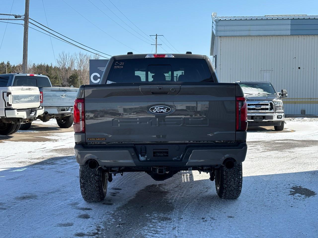 2026 Ford F-150 Tremor 4WD SuperCrew 5.5' Box Photo