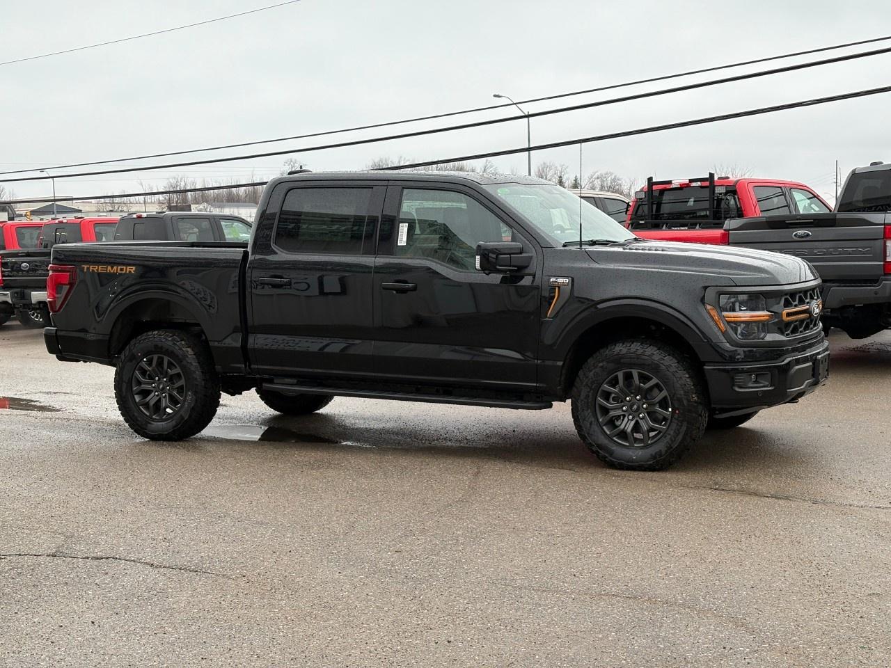 2026 Ford F-150 Tremor 4WD SuperCrew 5.5' Box Photo