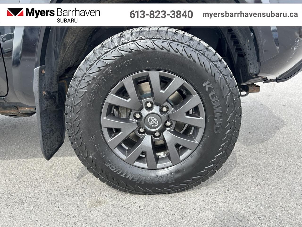 2020 Toyota Tacoma  Photo