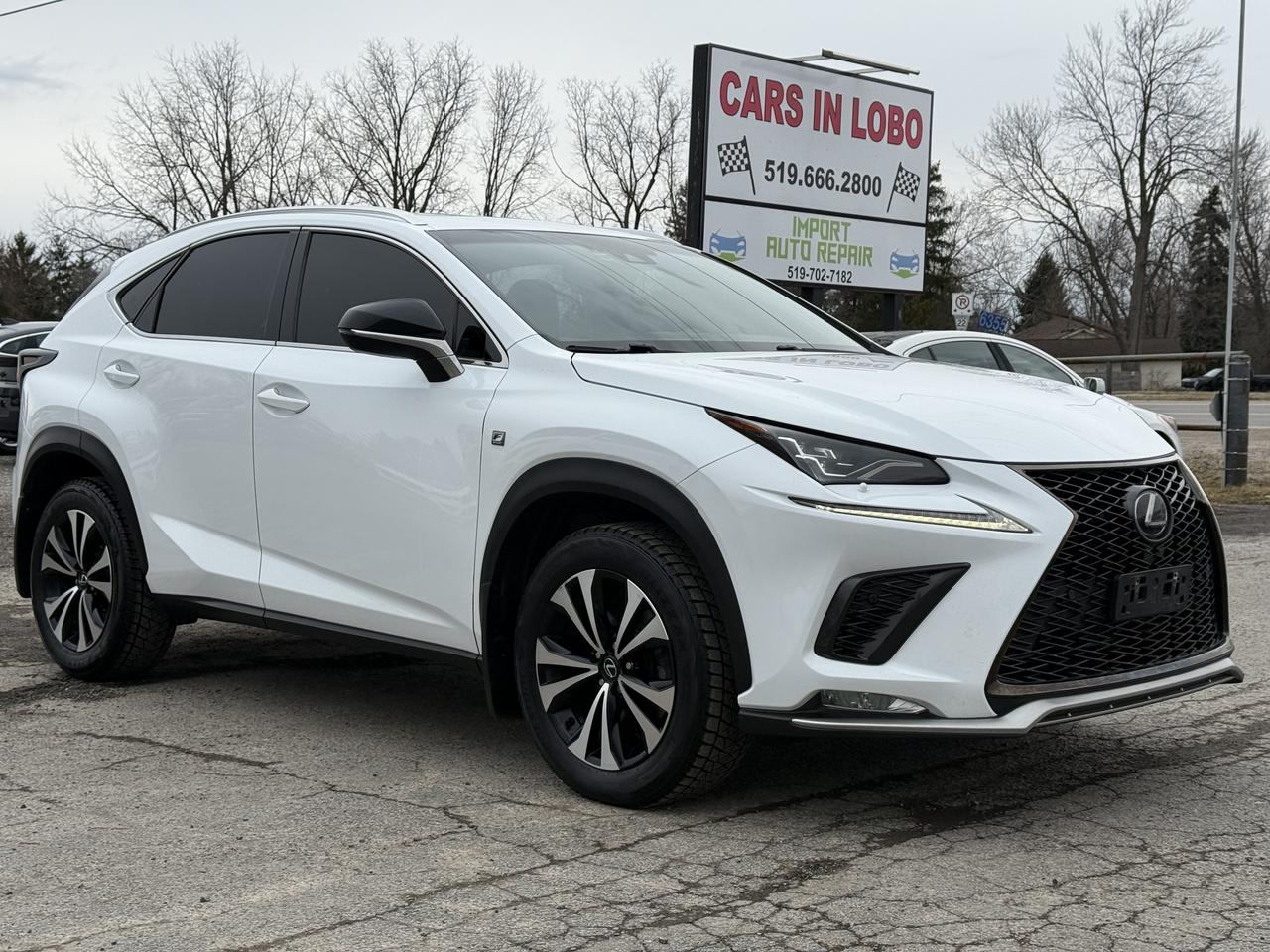 2018 Lexus NX NX 300 F-SPORT Photo